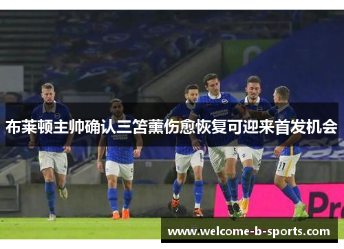 布莱顿主帅确认三笘薰伤愈恢复可迎来首发机会 布莱顿主帅确认三笘薰伤愈恢复可迎来首发机会